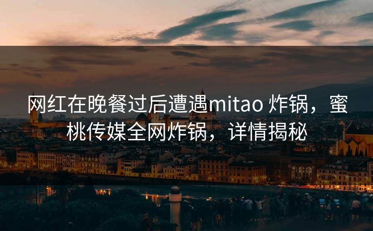 网红在晚餐过后遭遇mitao 炸锅，蜜桃传媒全网炸锅，详情揭秘